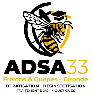 Technicien ADSA33 réalisant une destruction de frelons à Castres-Gironde sur un nid de frelons asiatiques