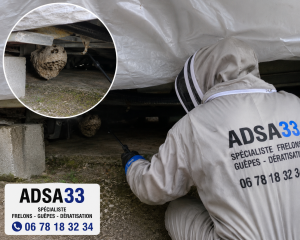 “Destruction d’un nid de frelons asiatiques caché sous un camping-car à Villenave-d’Ornon par ADSA33”