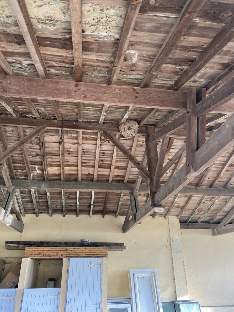 destruction frelons Gradignan dans une grange par ADSA33